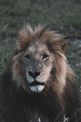 Maasai Mara National Park Safari Tour