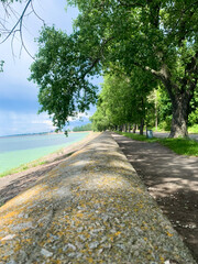 road in the park