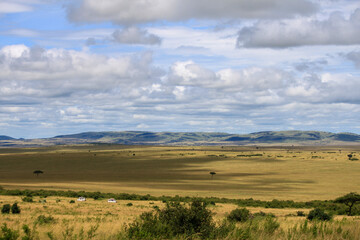 Maasai Mara National Park Safari Tour