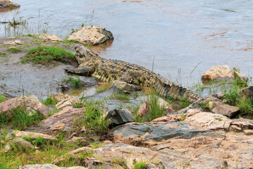 Maasai Mara National Park Safari Tour