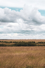 Maasai Mara National Park Safari Tour