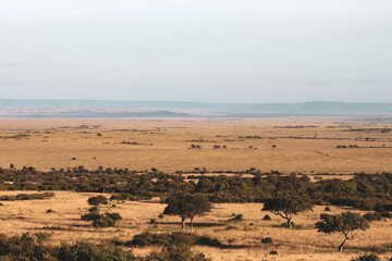 Maasai Mara National Park Safari Tour