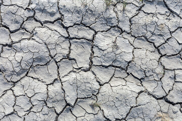 view of deep cracks in the ground due to hot dry summers. Ecological problems. Climate warming