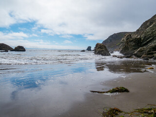 Beach Near Pirates Cove in Muir Beach 1