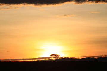 Maasai Mara National Park Safari Tour