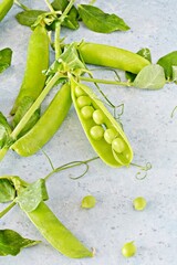 Pods of fresh green peas on a blue background, healthy vegetables.