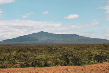 Maasai Mara National Park Safari Tour