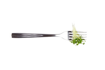 Microgreen sprouts, arugula shoots on fork isolated on white background. Young micro green shoots, top view