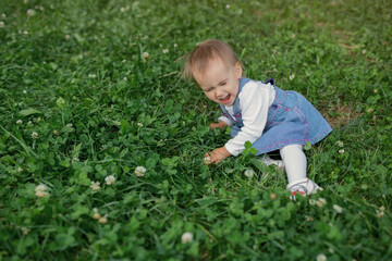 The child has fallen and is lying in a clover field, laughing loudly with his mouth open and his eyes closed . A lovely little girl.