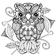 Bird illustration owls adult coloring book page boho hippie animals