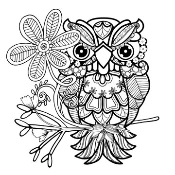 Bird illustration owls adult coloring book page boho hippie animals