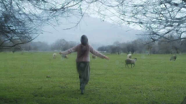 Young happy woman in long skirt running in green field with grazing flock of sheep. Mountains, bare trees. Raining. View from car. Raindrops on window. Freedom mood. Alone on nature. 4K slow motion.