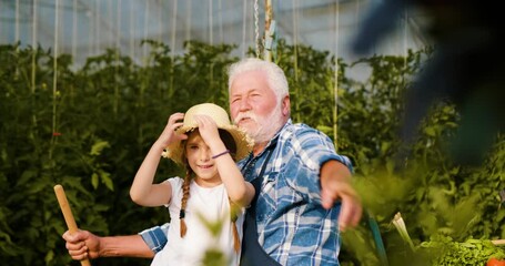 Grandfather in the yard shows his grandchildren where the sunset is - Powered by Adobe