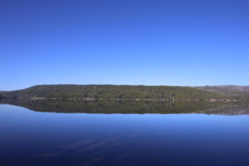 reflection of trees in water