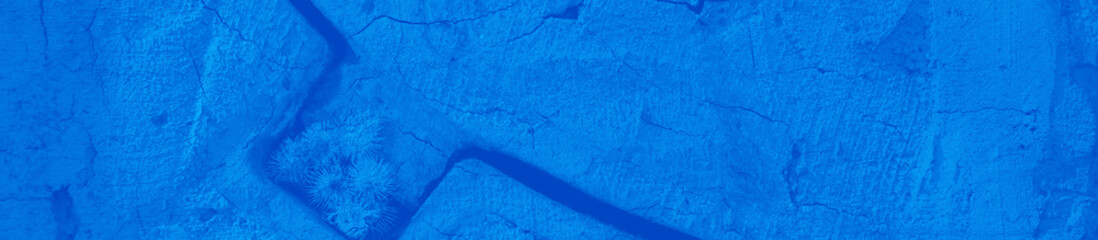 abstract blue texture background with copy space for design