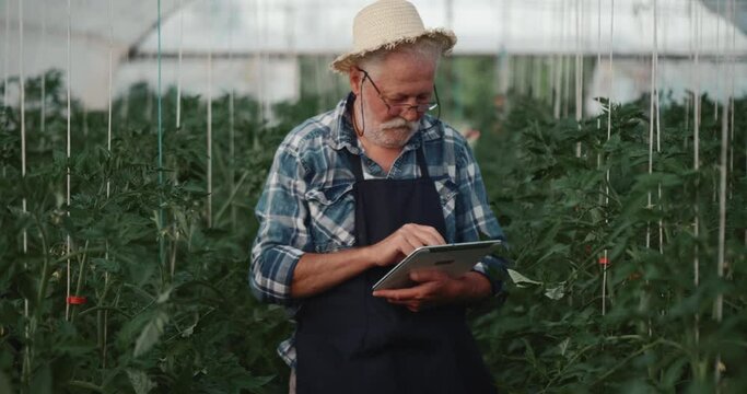 Old man with tablet pc in greenhouse on farm