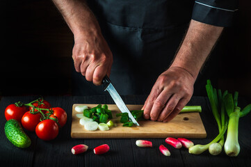 Chef or cook is hands close-up cuts young green onions on a restaurant kitchen cutting board for salad. Vegetable diet or snack idea