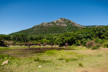 La laguna del Picacho se encuentra en el municipio de Alcalá de los Gazules, en la provincia de Cádiz, España. © Manueltrinidad