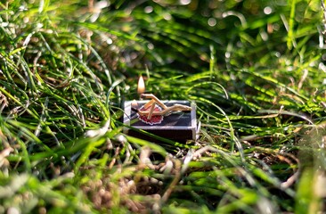 Couple in love made of matches in the grass