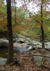 Fototapeta na wymiar A beautiful fall day with the leaves beginning to change colors over a gently flowing creek in Arkansas.