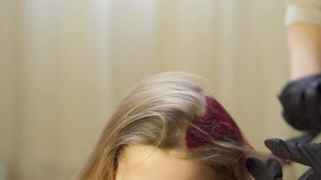 Dye parting of hair strand near face. The blonde has pink bangs with brush. Woman hairdresser in black gloves applies paint to head of little girl. Change Salon of stylists at home in quarantine