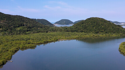 Mata Atlântica Floresta Meio Ambiente Brasil