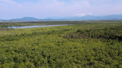 Mata Atlântica Floresta Meio Ambiente Brasil