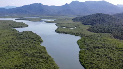 Foto op Plexiglas Mata Atlântica Floresta Meio Ambiente Brasil © Ricardo Weg
