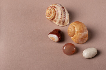 brown semi-precious stones and shells as decorative elements, top view