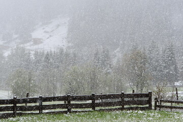 Śnieżyca w górach z fragmentem ogrodzonego pastwiska