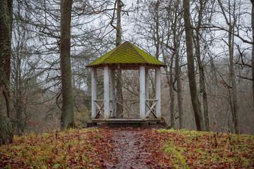 gazebo in the forest in the autumn season