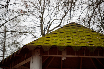 gazebo roof which is located in the park during the autumn season