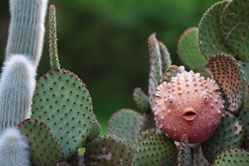 view in neighbor's garden,  puffer fish garden decoration