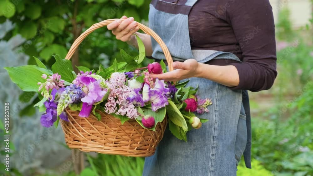 Wall mural Outdoor close-up basket with garden fresh spring flowers in the hands of woman - Wall murals