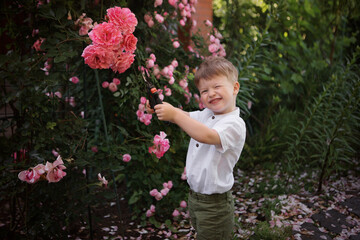 little gardener boy with pruning shears in roses