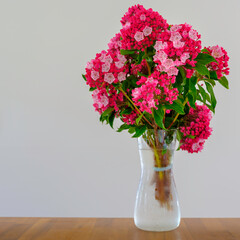 Mountain Laurel flower bundle in a glass vase