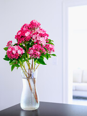Mountain Laurel flower bundle in a glass vase, upright arrangement.