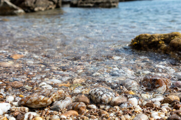 Marble stones close-up on wild mediterranean sea pebble beach with rocky shore and blue clear water. Travel Greece near Athens. Summer nature scenic lagoon