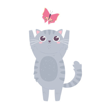 cute cat with butterfly