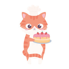 cat with sweet cake