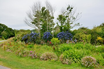 flowers in a garden in Brittany France