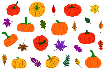 Autumn fallen leaves and pumpkins. Thanksgiving Set, Harvest, Halloween.Vector Illustration
