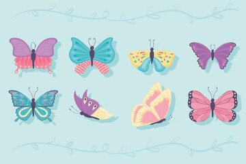 butterfly cartoon set