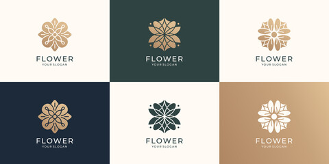 set of abstract flower logo template. luxury rose, lotus, collection. Premium vector