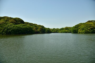 初夏の湖、静かな入り江の風景