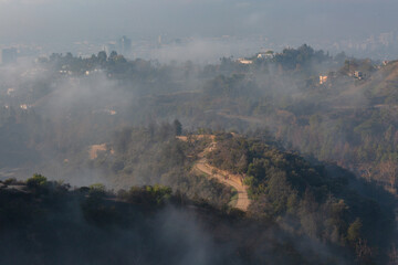 fog in the mountains in LA