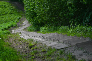 Winding wooden stairs leading down the hill.