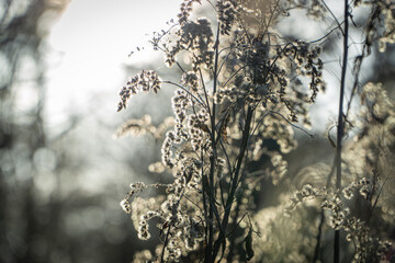 Frühling Stock-Foto 35