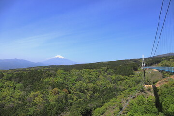 富士と吊橋