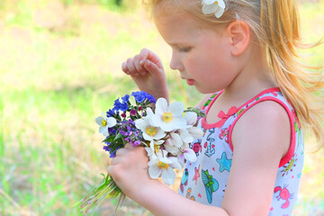Little girl picking summer flowers in a field. Happy child enjoying nature outdoors